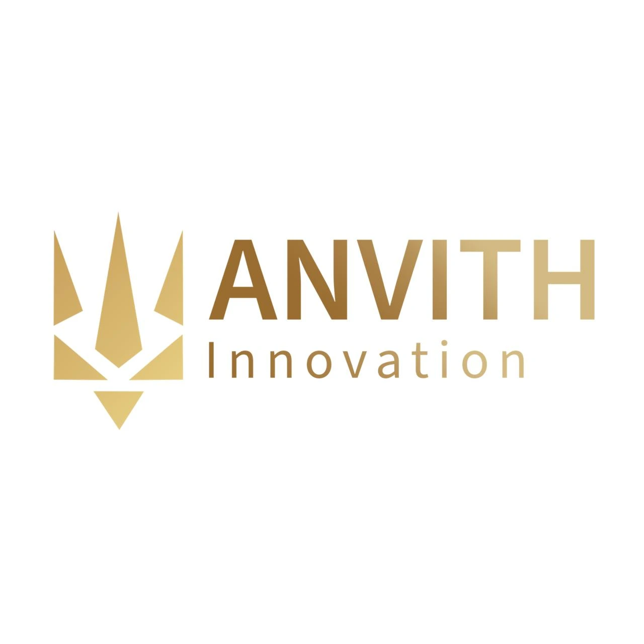 Anvith Innovation Private Limited logo